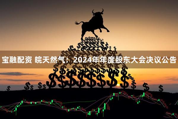 宝融配资 皖天然气：2024年年度股东大会决议公告