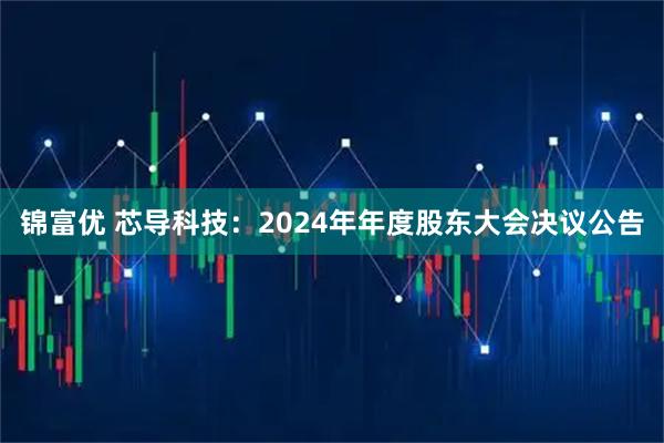 锦富优 芯导科技：2024年年度股东大会决议公告