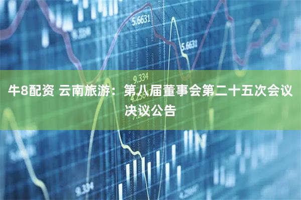 牛8配资 云南旅游：第八届董事会第二十五次会议决议公告