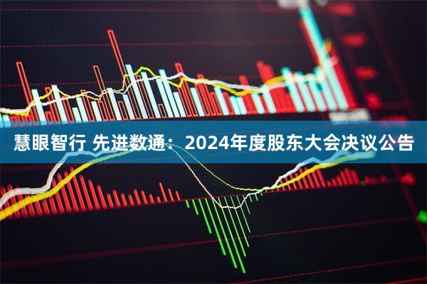 慧眼智行 先进数通：2024年度股东大会决议公告