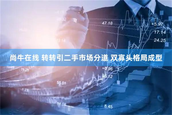 尚牛在线 转转引二手市场分道 双寡头格局成型
