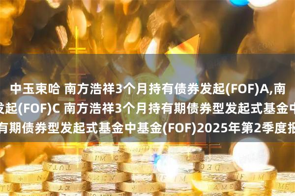 中玉束哈 南方浩祥3个月持有债券发起(FOF)A,南方浩祥3个月持有债券发起(FOF)C 南方浩祥3个月持有期债券型发起式基金中基金(FOF)2025年第2季度报告