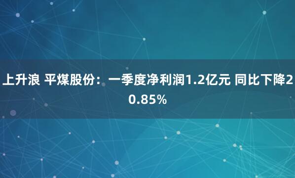 上升浪 平煤股份：一季度净利润1.2亿元 同比下降20.85%