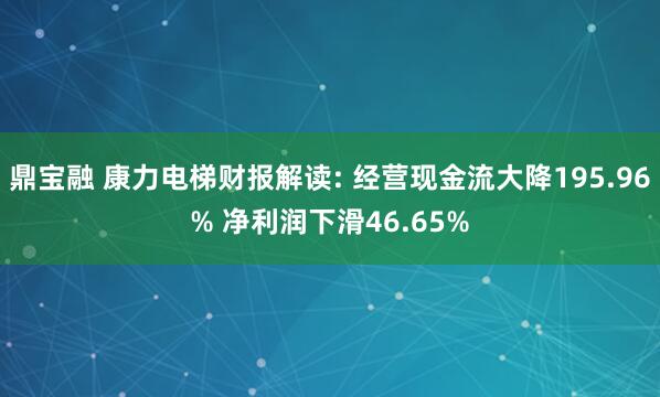 鼎宝融 康力电梯财报解读: 经营现金流大降195.96% 净利润下滑46.65%